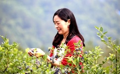 欧美 亚洲 另类 综合网